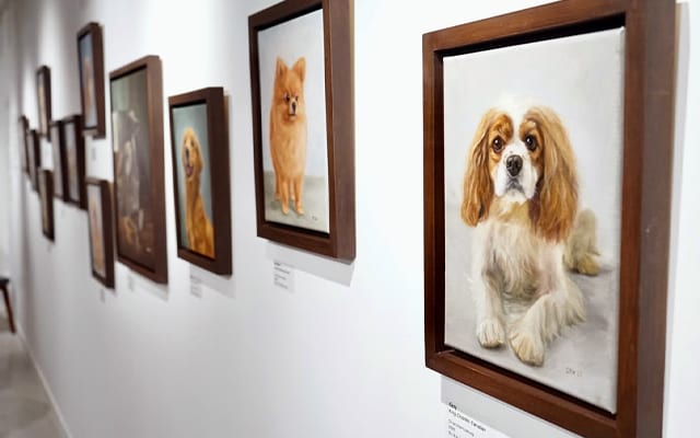 Pet portraits hanging on a wall